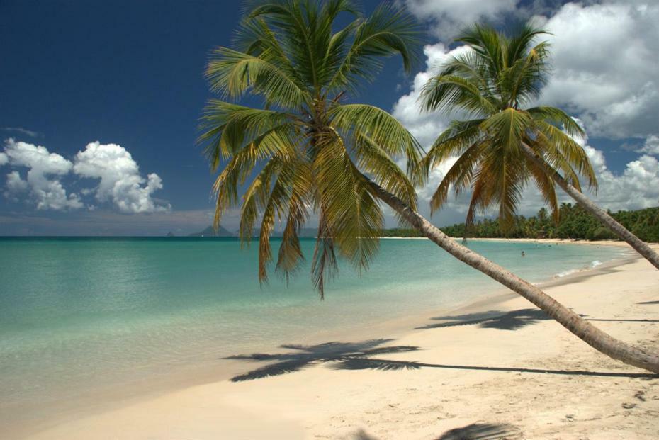 Holidays In Martinique - Ravenala Сент-Ан Екстериор снимка