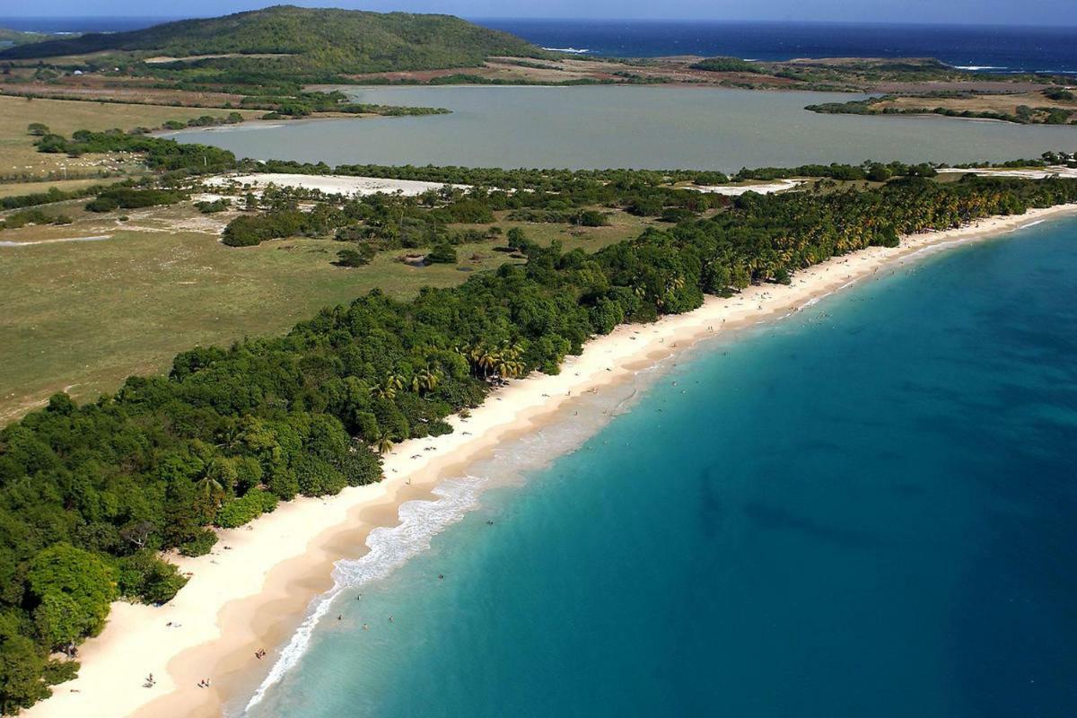 Holidays In Martinique - Ravenala Сент-Ан Екстериор снимка
