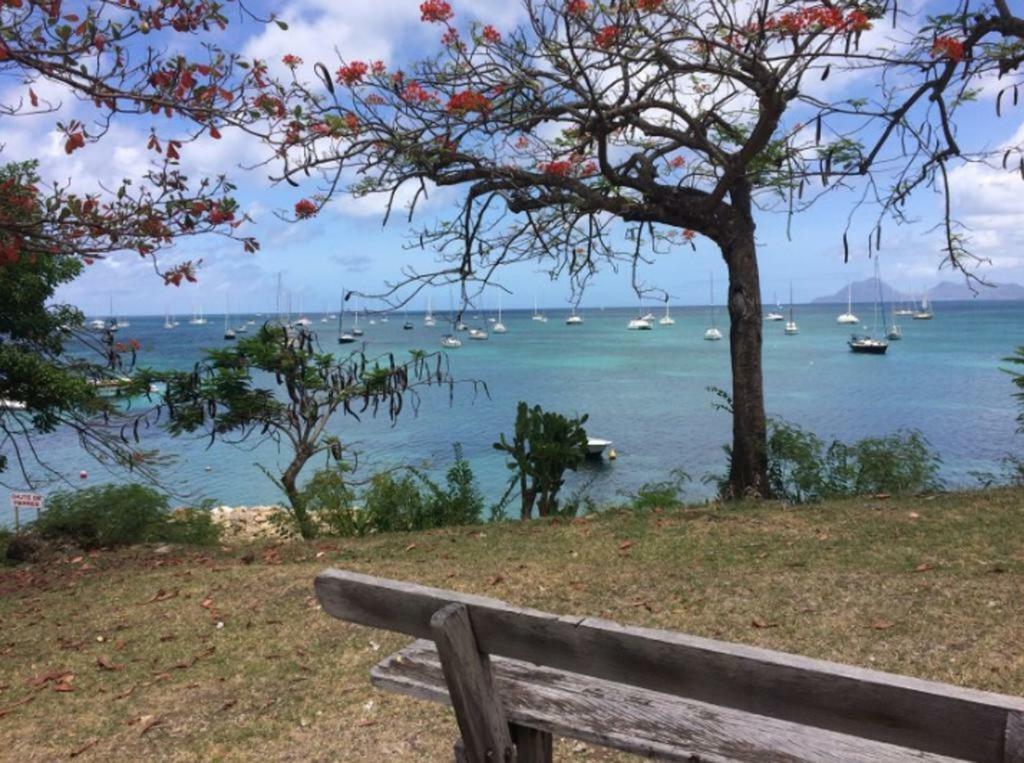 Holidays In Martinique - Ravenala Сент-Ан Екстериор снимка