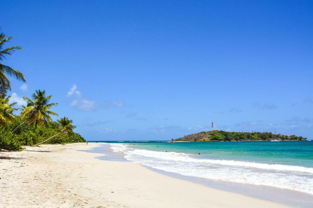 Holidays In Martinique - Ravenala Сент-Ан Екстериор снимка